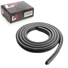 Portiera Auto Guarnizione IN