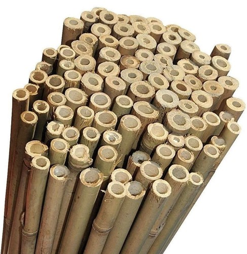Canne bambù naturali 210 - canne,