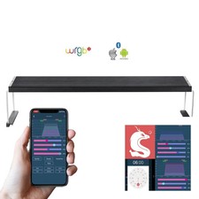 Chihiros WRGB II 10th Edition