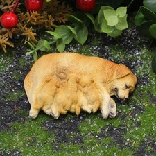 Micro Paesaggio Resina