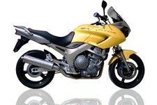 Scarico GPR PerYamaha Tdm 900