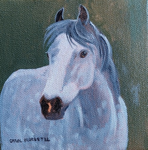 Dipinto olio originale cavallo