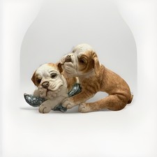 bulldog puppies playing