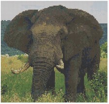 Punto Croce Motivo Da