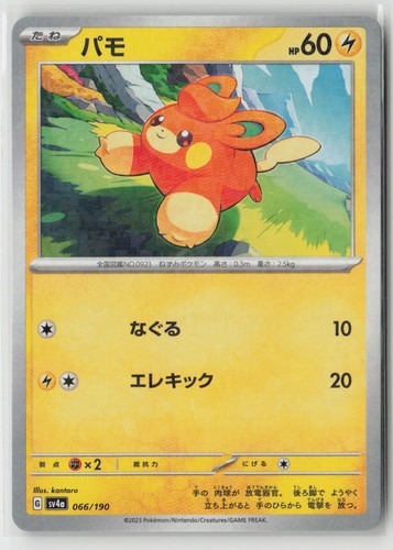 Pawmi 066 190 sv4a - pawmi, (specchio)