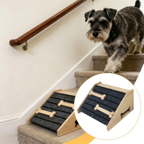 Rampa legno per cani - in,