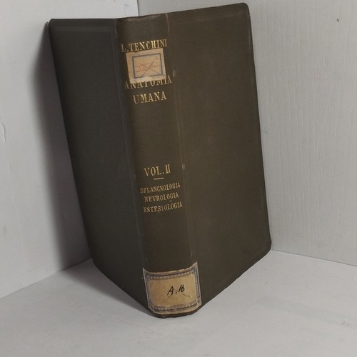 1902 tenchini anatomia - 1902/tenchini, umana