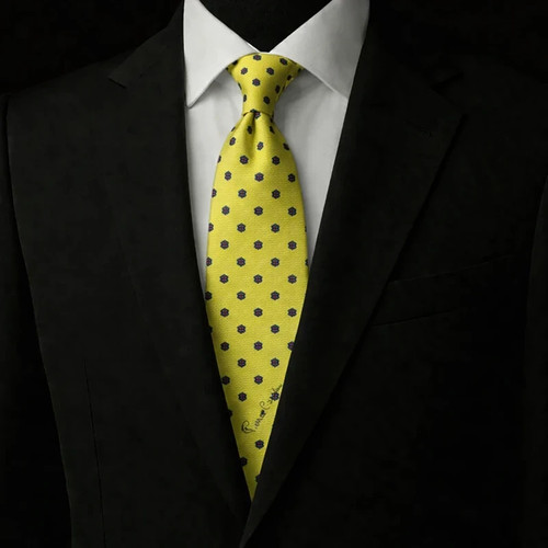 Cravatta pierre cardin paris - cravatta,