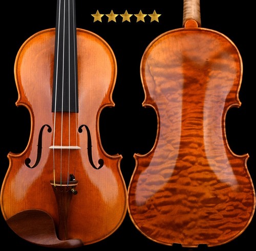 T31 master stradivari - t31+,