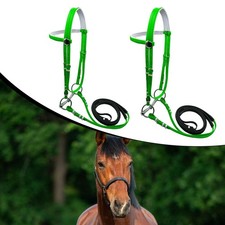 Briglia per cavallo con