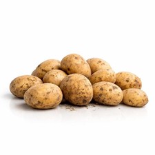 4 Kg Patate da Semina a Pasta