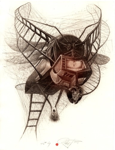 Baramov robert ex libris - robert,