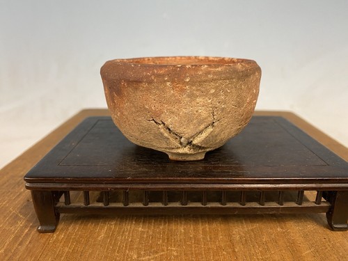 Insolito vaso per bonsai
