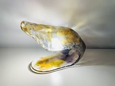 ? La Murrina lampada SHELL in vetro di Murano Vintage anni 70/80