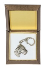 Fox Terrier a pelo corto -