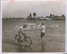 1963 Photo Boy Bicycles Along Flooded Coffee Pot Bayou Pinellas F.L Floods 8X10