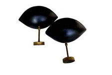 Coppia di Serge Mouille colore