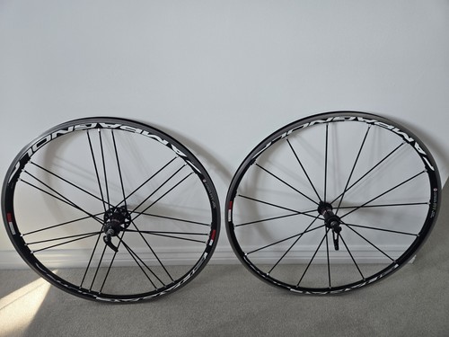 Set ruote campagnolo shamal - set,