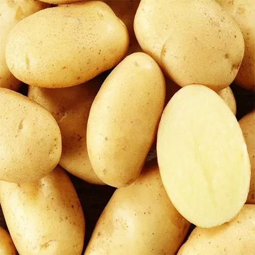 Milena potato seeds g - potato, 0.02