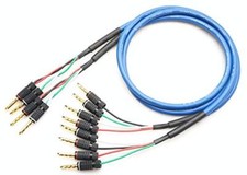 Zonotone AVSP-1200Q Meister