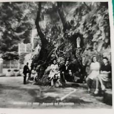 BRUNATE M. 850 SORGENTE DEL