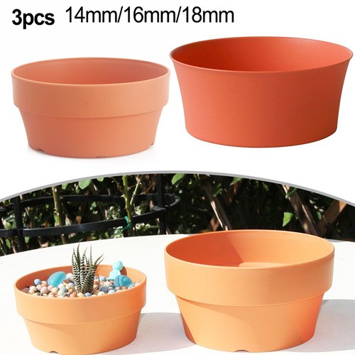 Fioriera vaso succulenta - fioriera,
