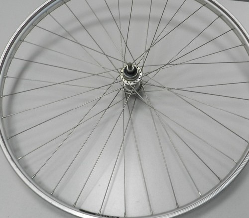 Ciclo 5 8 posteriore - x,