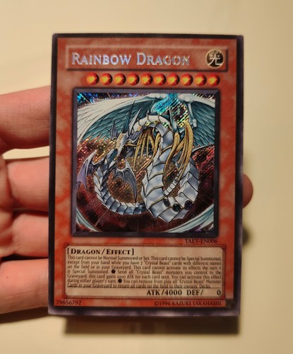 Rainbow dragon taev - dragon,