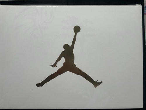 Air jordan retro - jordan,