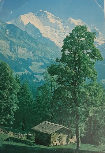 Antica cartolina postale - antica,