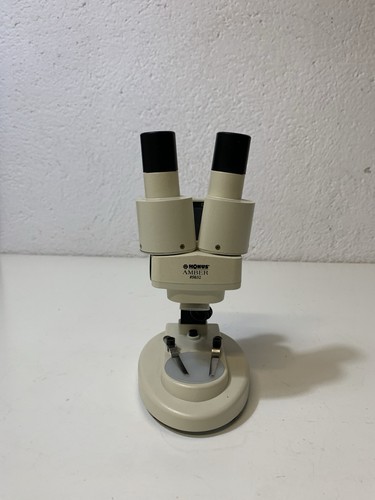 Microscopio stereoscopico - microscopio,