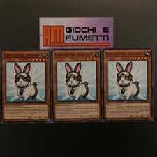 LOTTO 3x CONIGLIO DA SOCCORSO