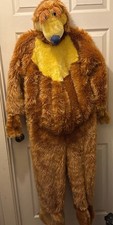 Disney Store Costume Orso