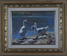 Anatre, Oche, Papere nello