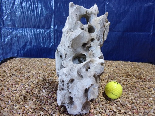 Texas holey rock - 09#, texas/tn