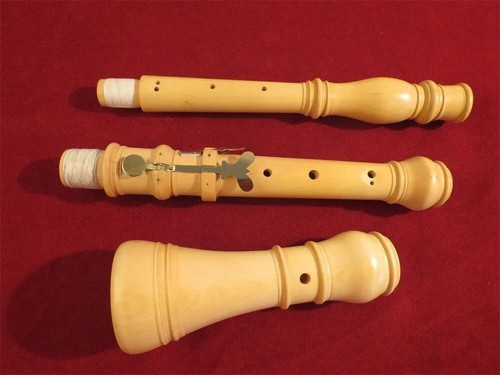 Oboe professionale stile