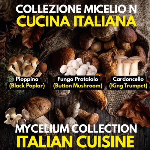 Colture liquide funghi - 3,