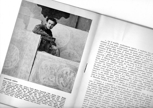 Catalogo arte marcolino - catalogo, d'arte