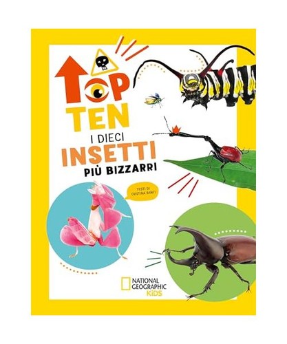Dieci insetti più bizzarri - insetti,