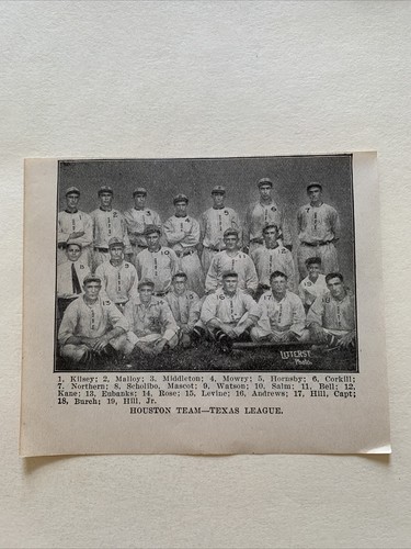 Foto squadra baseball - foto,