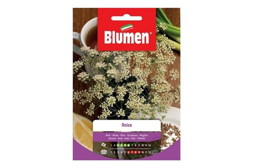 Semi blumen anice - blumen, 2