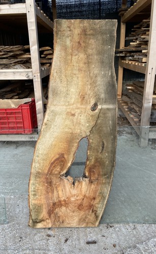 Tavola legno ulivo max - legno,