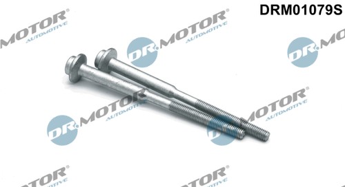 Bullone supporto iniettore - supporto,