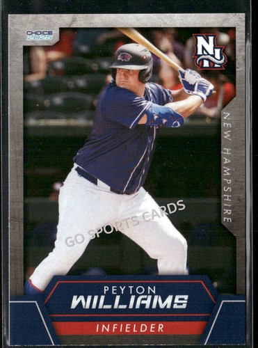 2025 new hampshire - fisher, cats