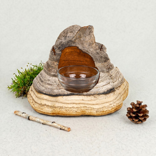 Posacenere artigianale fungo - posacenere, a