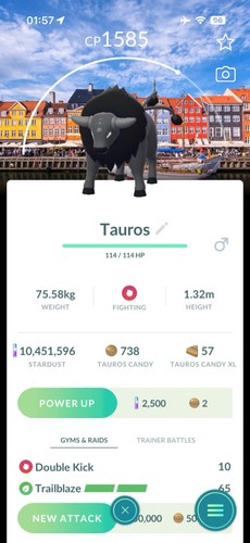 Tauros copenhagen - tauros,