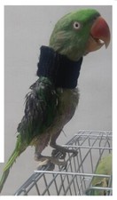 Collare/tubo uccellino Bird E