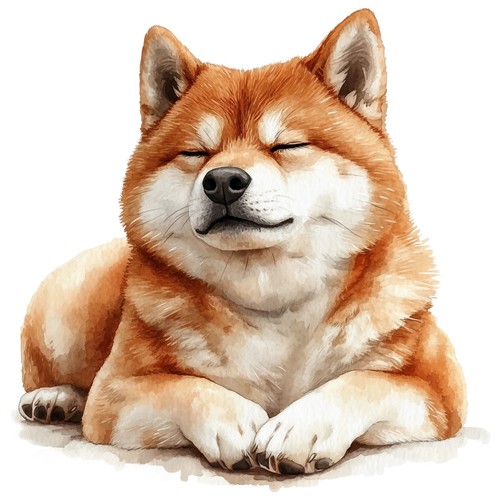 Set adesivi akita inu - adesivi,