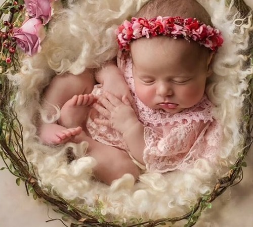 Sugarcraft stampi argilla - sugarcraft,