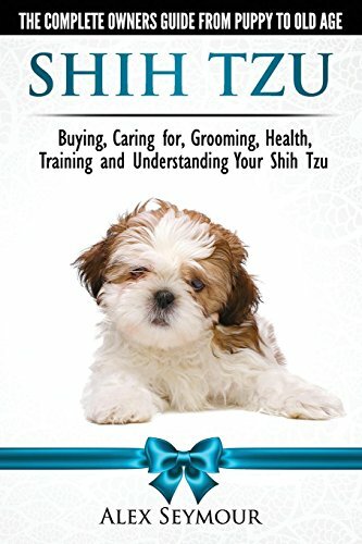 Shih tzu dogs the - dogs,